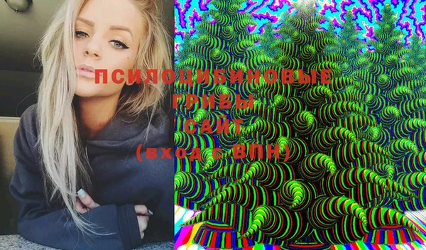 МДПВ Абаза