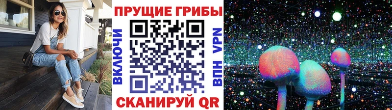 Псилоцибиновые грибы Psilocybine cubensis  Яхрома 